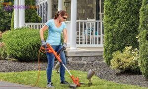 Black & Decker Weed Eater